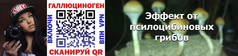 Псилоцибиновые грибы Psilocybine cubensis  blacksprut tor  Гулькевичи 